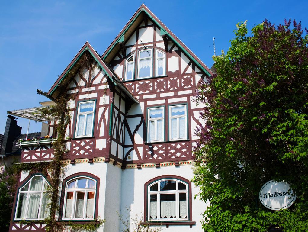 Hotel Villa Rossek バート・リーベンシュタイン エクステリア 写真