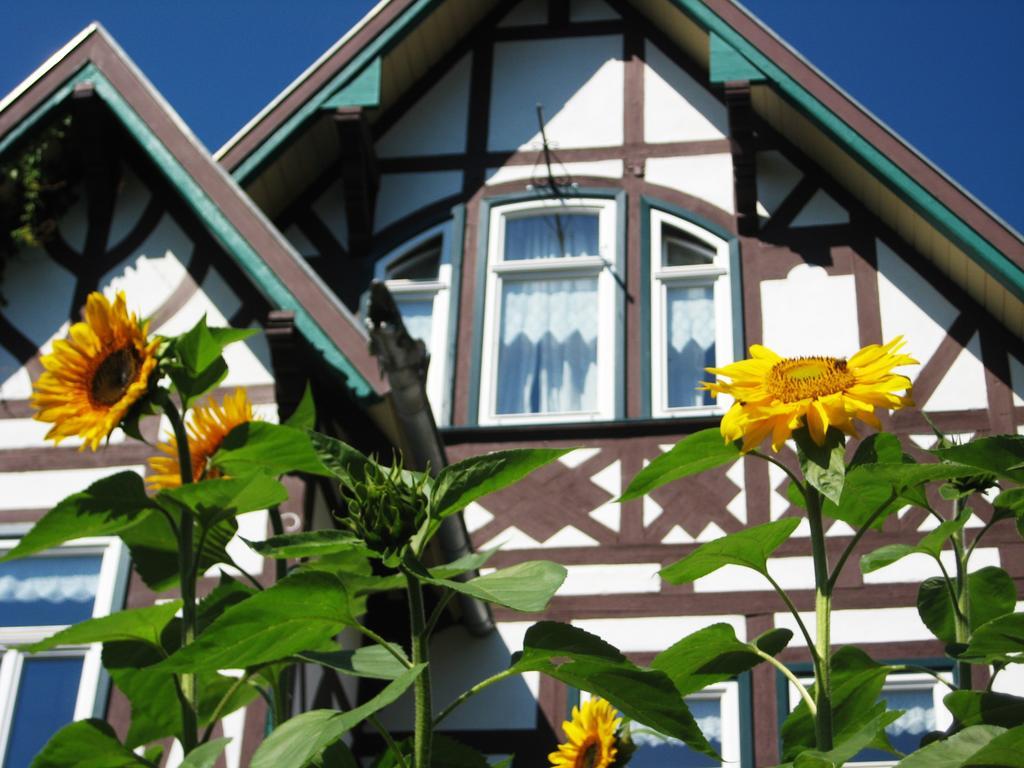 Hotel Villa Rossek バート・リーベンシュタイン エクステリア 写真